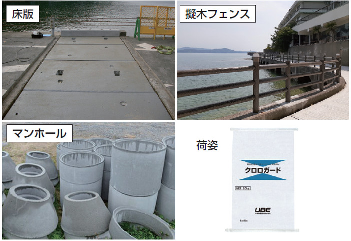 その他の適用例(臨海部や凍結防止剤使用地域で活用)