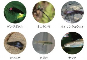 図-4　河川・湿地地域での対象例
