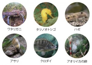 図-8　沿岸地域での対象例