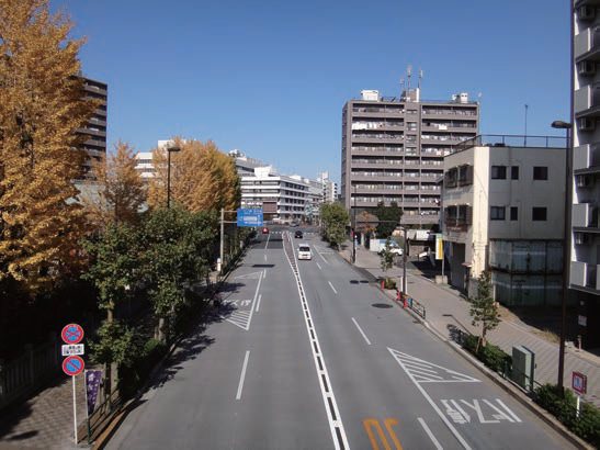 【写真-4 無電柱化の整備事例(明治通り〈江東区亀戸〉)】