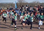 図-9 自治体主催のマラソン大会(かさだ