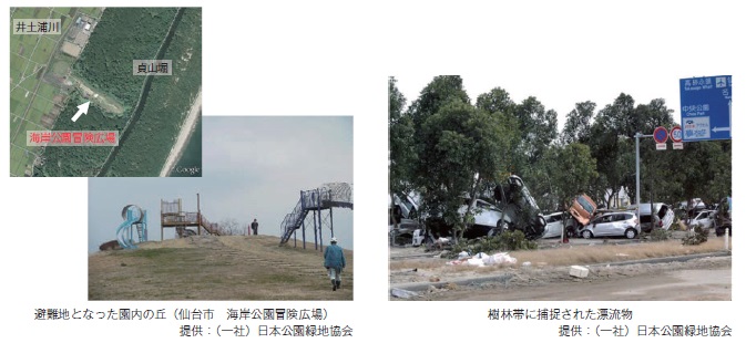 【写真−2 東日本大震災でみられた公園・緑地の機能・役割】