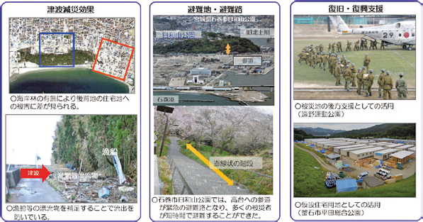東日本大震災で見られた公園緑地の効果