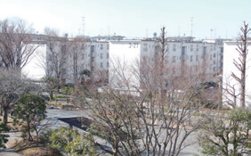 武里団地