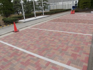 OLYMPUS DIGITAL CAMERA レインボーエコロブロックBiz
