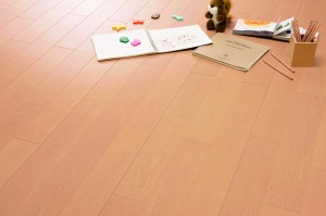 20131219w_1 コンビットエコヴェルデ