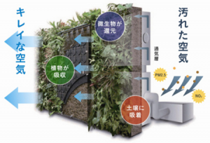PM2.5や二酸化窒素などの大気汚染物質を浄化できる壁面緑化技術『大気浄化壁面緑化システム』 PM2.5や二酸化窒素などの大気汚染物質を浄化できる壁面緑化技術『大気浄化壁面緑化システム』