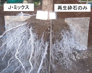 「クールスポット」や「冷える歩道」を実現する、雨水と緑を活用した雨水貯留浸透施設『J・ミックス』『グリーンアクアミックス』 「クールスポット」や「冷える歩道」を実現する、雨水と緑を活用した雨水貯留浸透施設『J・ミックス』『グリーンアクアミックス』