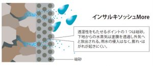 インサルキソッシュMore(モア)②