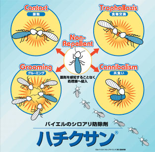ハチクサンSL