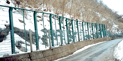 耐雪型落石防護柵の写真