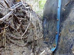 ルートブロック工法「地中内樹木根侵入防止工」の詳細