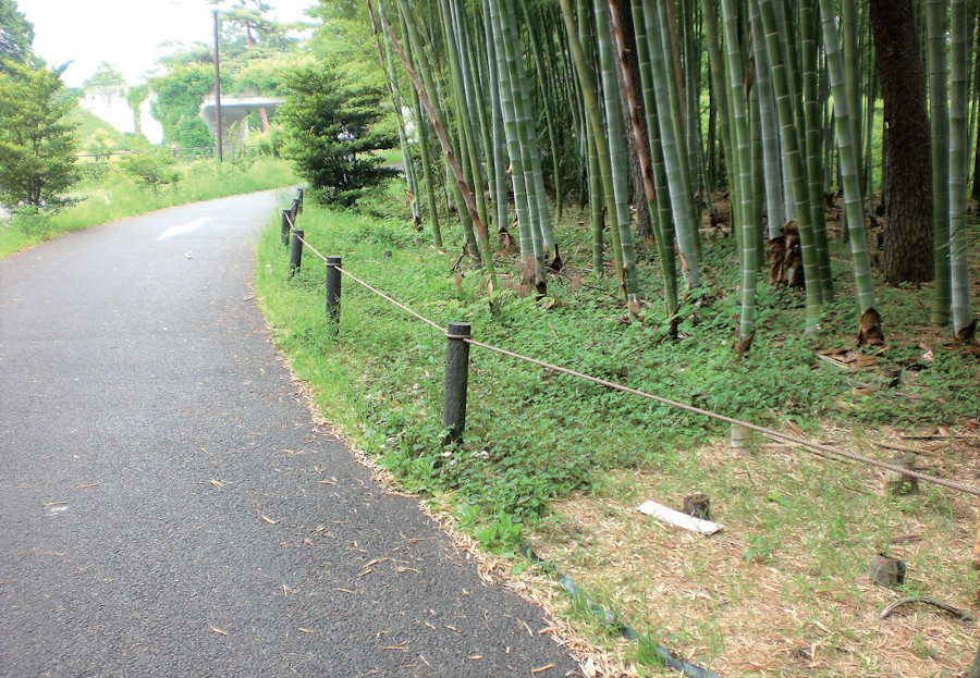 ザバーン防草シート／RCF防根・防竹シート｜植生用材｜株式会社