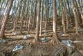ノンフレーム工法