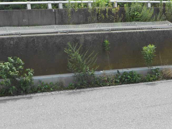 Gブロックドレイン S-plus