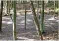ウッズネット工法
