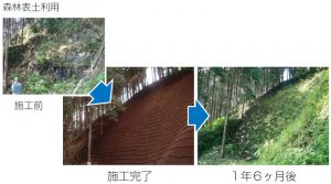 国営公園内。種子を入れず表土（埋土種子）による自然回復を図った例