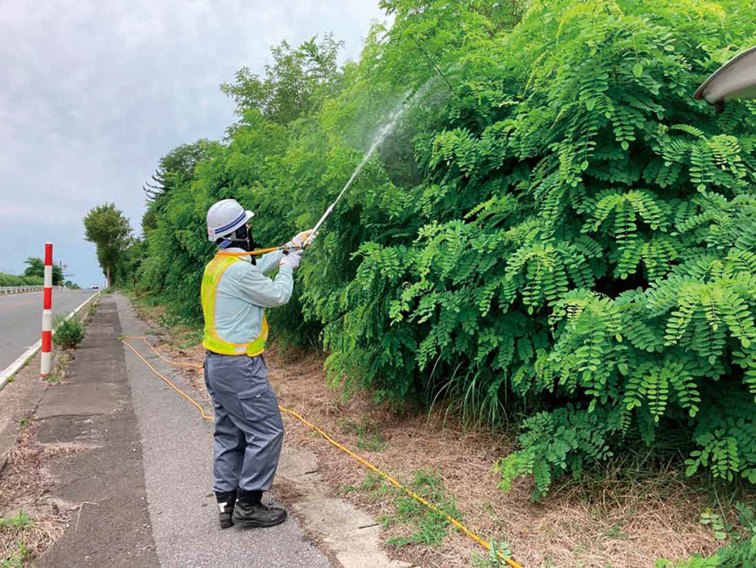 サーベルDF、アトラクティブを用いた雑草防除工法