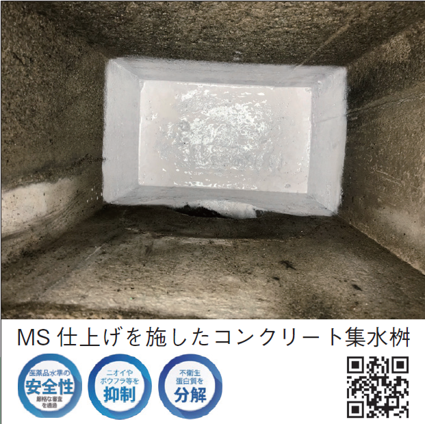 MS 仕上げを施したコンクリート集水桝