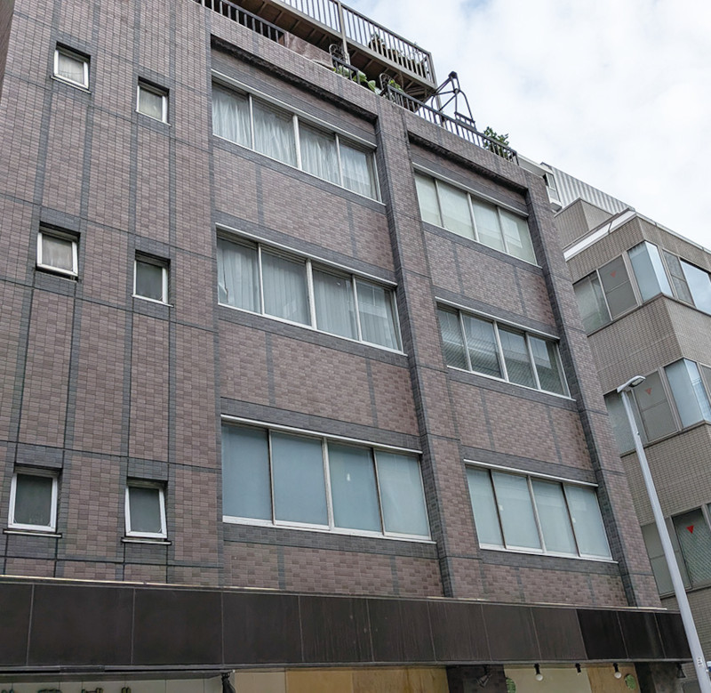 GNSピンネット工法