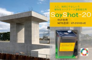 渋井水門本体工（施工後）