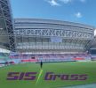 SISGrass