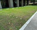 エコユニットベース砂利キーパー