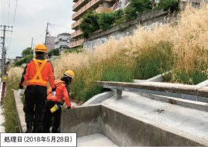 エスプラネードライト＋デスティニーWDG年２回施用によるギョウギシバへの植生回復の事例