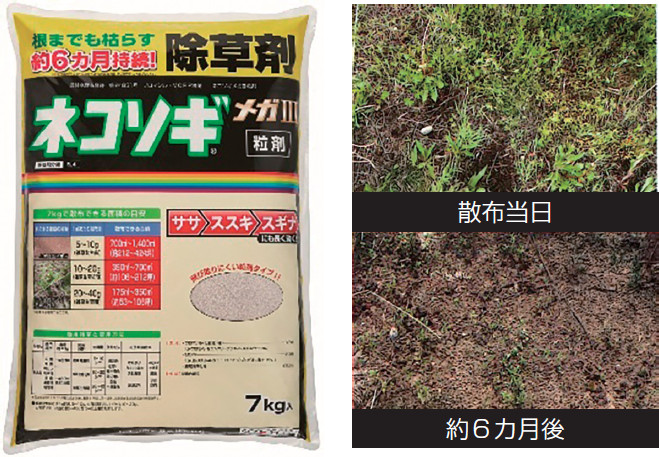 除草剤　ネコソギメガⅢ粒剤／ネコソギクイックプロFL