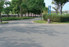 【写真- 4 広場・園路】