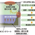 図－1　下水道施設におけるコンクリートの硫酸劣化