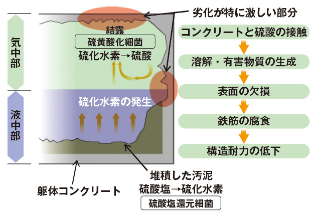 図－1　下水道施設におけるコンクリートの硫酸劣化