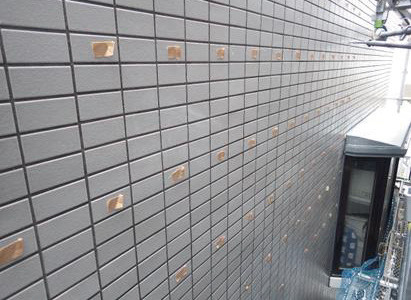 写真-7 マーキング完了 16本/m2を基準に均等に割付ける