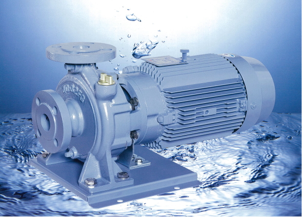 エバラ/荏原深井戸用水中モーターポンプ BHS型 200mm井戸用 ステンレス製 三相 60Hz〔HF〕 エバラ&frasl;荏原深井戸用水中モーターポンプ BHS型 200mm井戸用 ステンレス