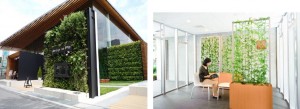 壁面緑化システム「bio-Wall」、緑化パーテーションプランター「leaflax」