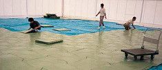 シキィータの詳細