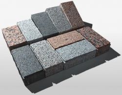 プレシオムックの詳細