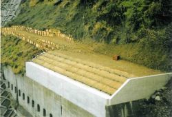 SAMフォームの詳細