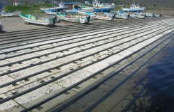 樹脂製滑り材(港用) ポリウッドの詳細