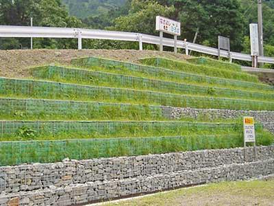 EGボックス (めっきかご枠)