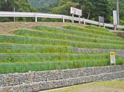 EGボックス (めっきかご枠)