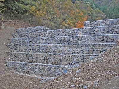 大型EGボックスの詳細