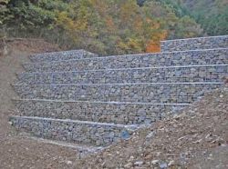 大型EGボックス