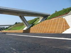 エバーグリーンの詳細