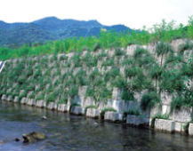 ネオホタルの詳細