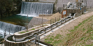 トラック式スパイラル魚道の詳細