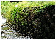 フラワーストーンILの詳細