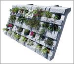 Coco・A・グリーン(ココア グリーン)の詳細