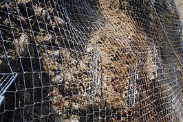 法面資材 ソイルストッパー