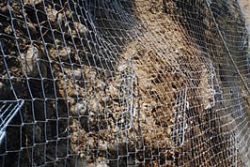 法面資材 ソイルストッパー